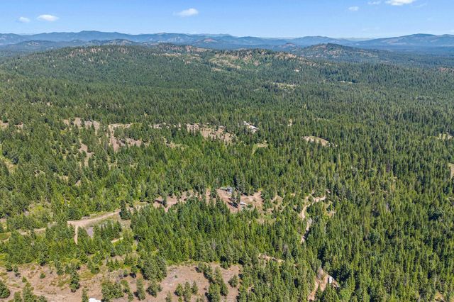 1022 Spring Hill Rd, Newport, WA 99156