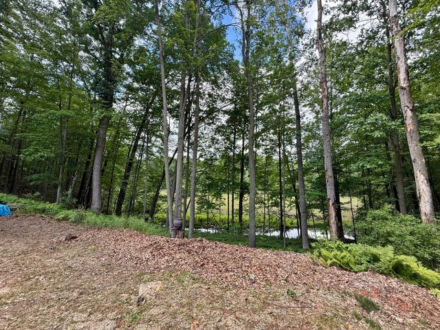 11310 E Royal Road, Morton Twp, MI 49346