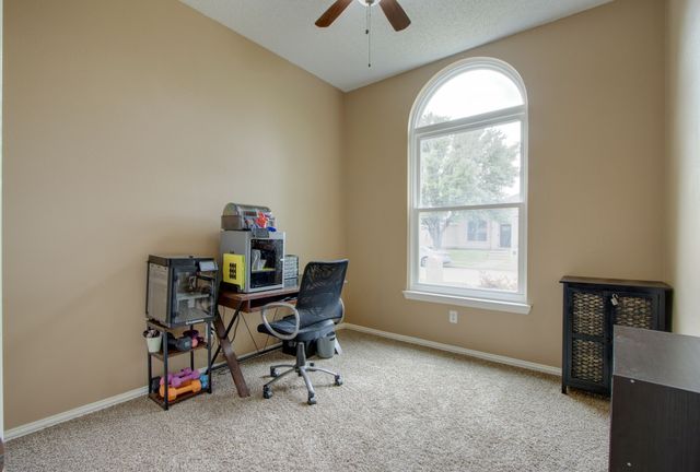 1217 Shady Elm Lane, Lewisville, TX 75067