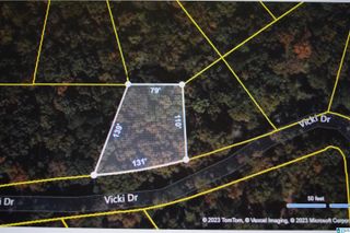 000 VICKIE DRIVE, Lakeview, AL 35111