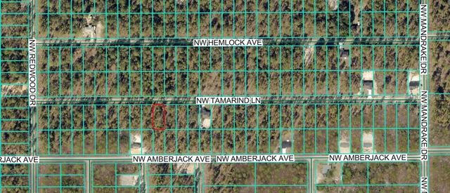 TBD NW TAMARIND LANE, Dunnellon, FL 34431