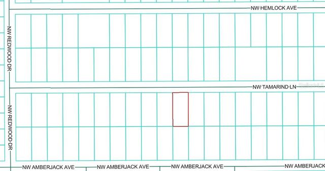 TBD NW TAMARIND LANE, Dunnellon, FL 34431