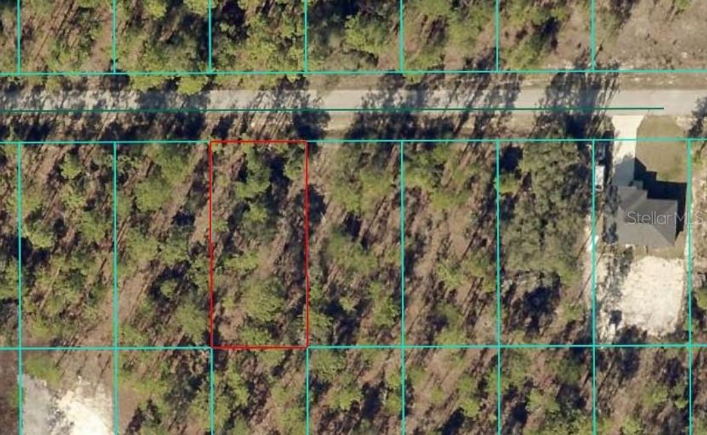 TBD NW TAMARIND LANE, Dunnellon, FL 34431