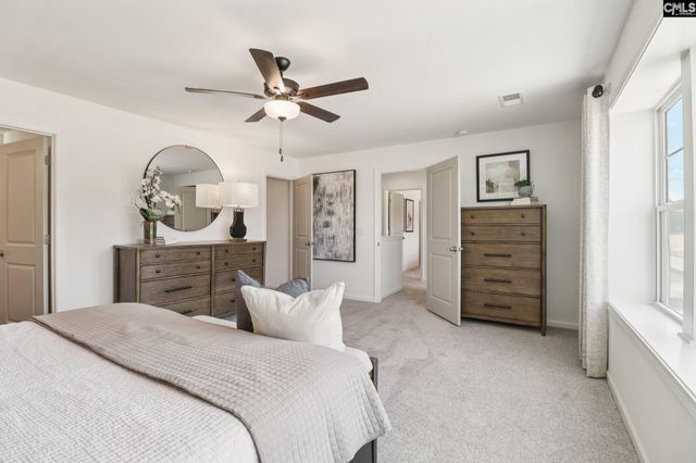 624 Griffon Drive, Chapin, SC 29036