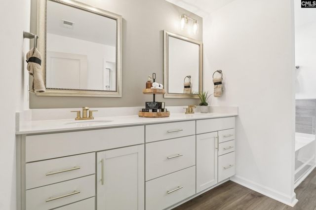 624 Griffon Drive, Chapin, SC 29036