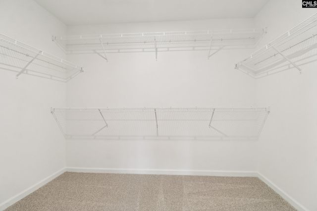 624 Griffon Drive, Chapin, SC 29036