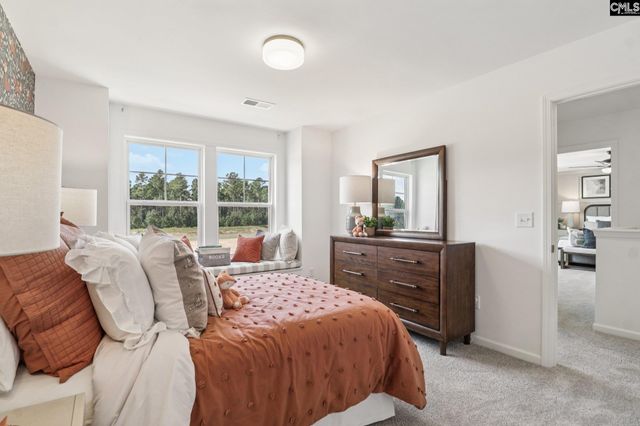 624 Griffon Drive, Chapin, SC 29036