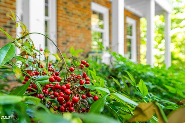 917 Emory Drive, Chapel Hill, NC 27517