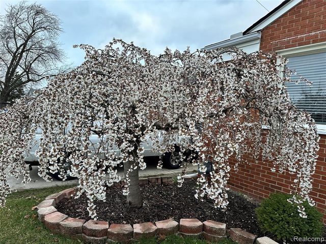 1071 13th Street, Wyandotte, MI 48192