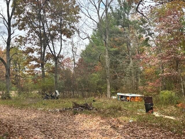 5912 W 96th Street, Fremont, MI 49412