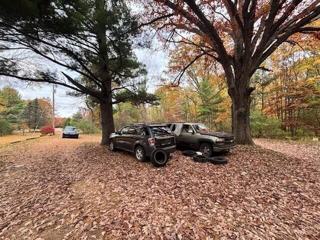 5912 W 96th Street, Fremont, MI 49412