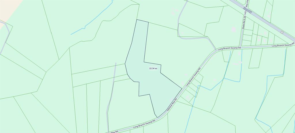 TBD (Tract 4 R) Long Branch Swamp Rd., Green Sea, SC 29545 — photo 2