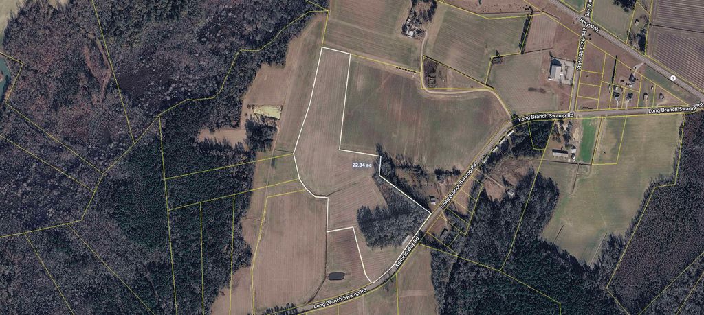 TBD (Tract 4 R) Long Branch Swamp Rd., Green Sea, SC 29545 — photo 3