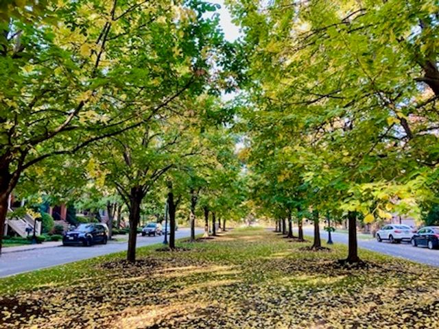 1215 W 33rd Street, Chicago, IL 60608