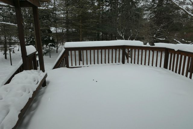 1797 Willow Wood Drive, Mount Pleasant, MI 48858