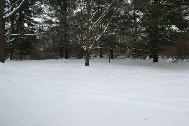 1797 Willow Wood Drive, Mount Pleasant, MI 48858