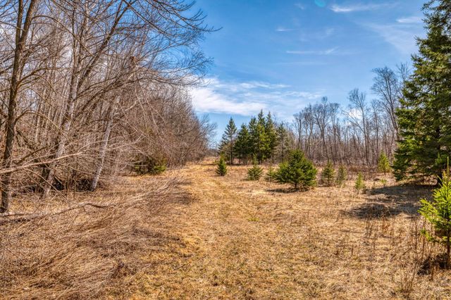 4850 Van Buren Avenue SE, Bemidji, MN 56601