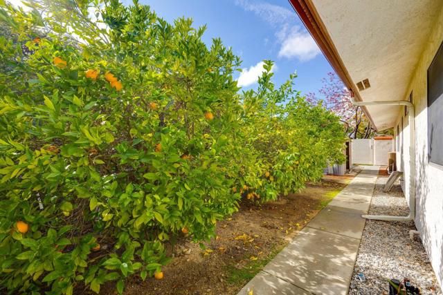 26500 Rim Road, Hemet, CA 92544