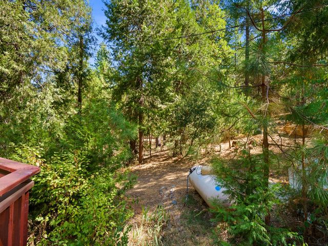 18960 Quail Run Ln, Fiddletown, CA 95629