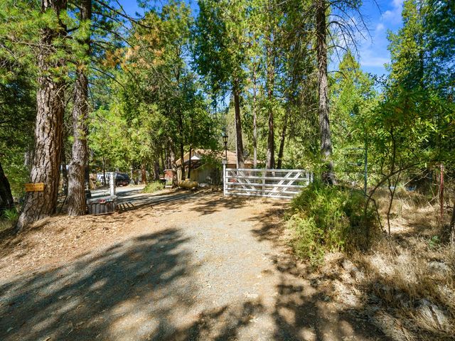 18960 Quail Run Ln, Fiddletown, CA 95629