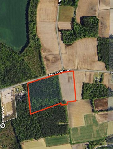 tbd Pinckney Rd., Nichols, SC 29581