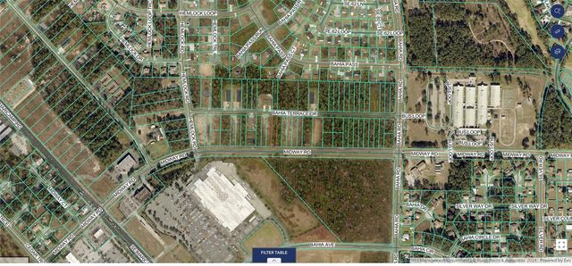 TBD BAHIA TERRACE DRIVE, Ocala, FL 34472