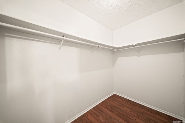 16603 Calico Creek, San Antonio, TX 78247