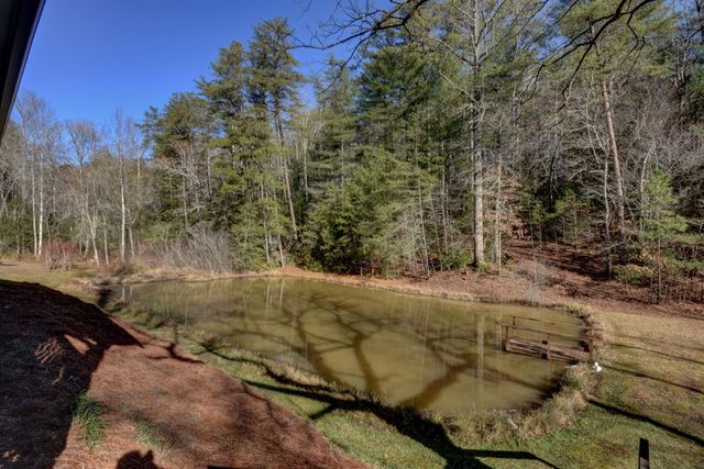 100 Saga Mountain Road, Tiger, GA 30576