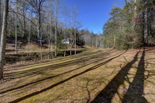 100 Saga Mountain Road, Tiger, GA 30576