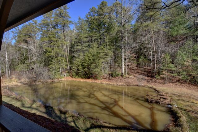 100 Saga Mountain Road, Tiger, GA 30576