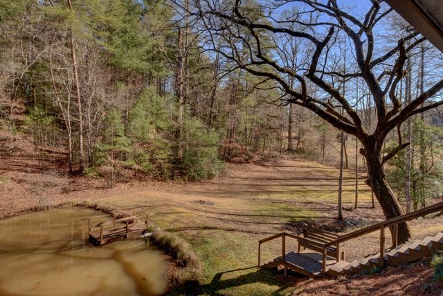 100 Saga Mountain Road, Tiger, GA 30576