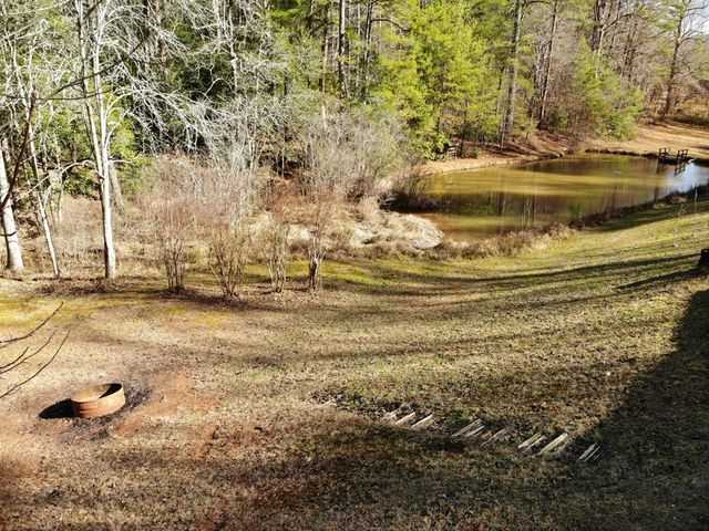 100 Saga Mountain Road, Tiger, GA 30576