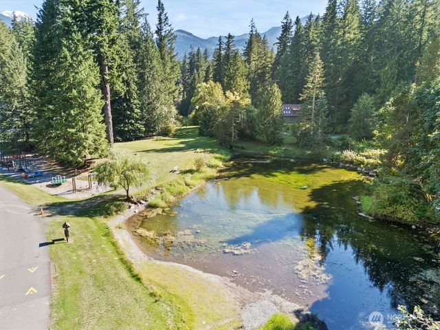 6989 Snoqualmie Place, Glacier, WA 98244