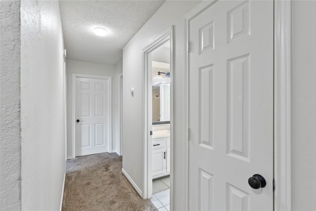 3440 Salmon Street, Sachse, TX 75048