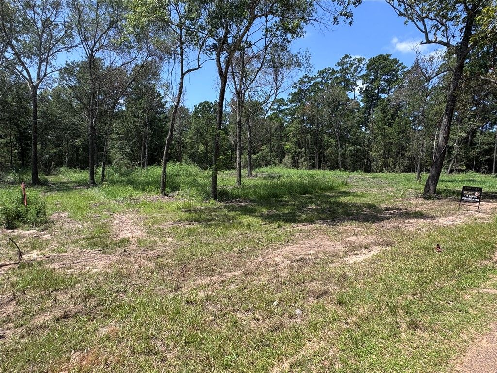 TBD County Road 201 Loop, Plantersville, TX 77363 — photo 5
