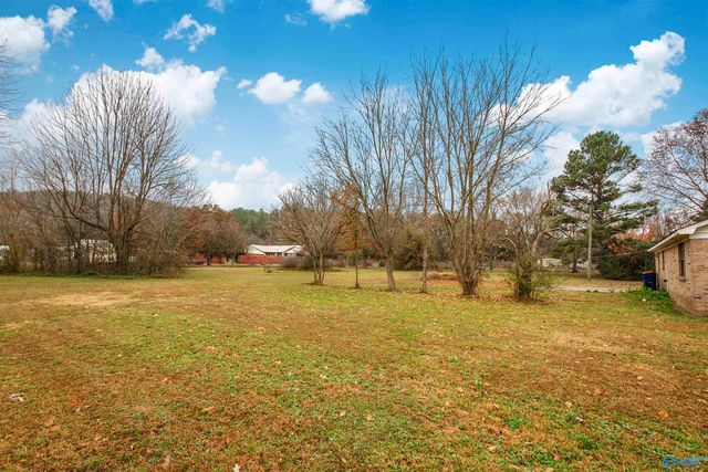 828 Cotaco Florette Road, Somerville, AL 35670