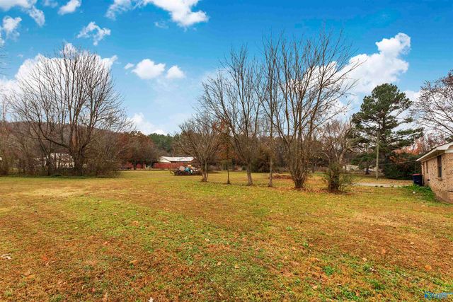 828 Cotaco Florette Road, Somerville, AL 35670