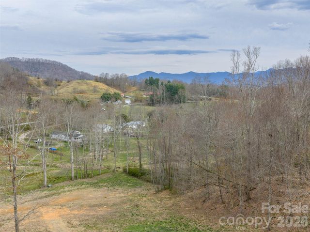 1433 Crabtree Mountain Road, Clyde, NC 28721