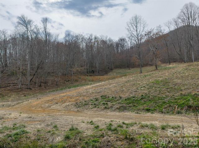 1433 Crabtree Mountain Road, Clyde, NC 28721