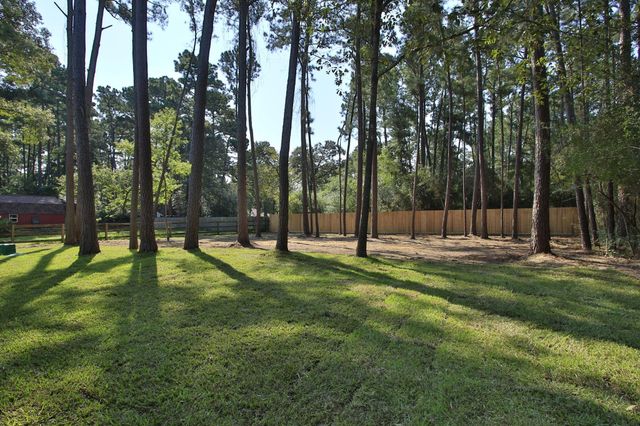 22403 Meadowsweet Drive, Magnolia, TX 77355