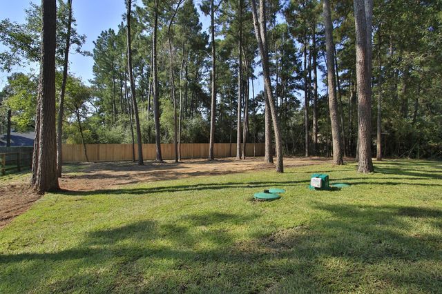 22403 Meadowsweet Drive, Magnolia, TX 77355