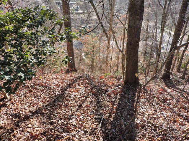 10 Whitman Lane 41, Black Mountain, NC 28711