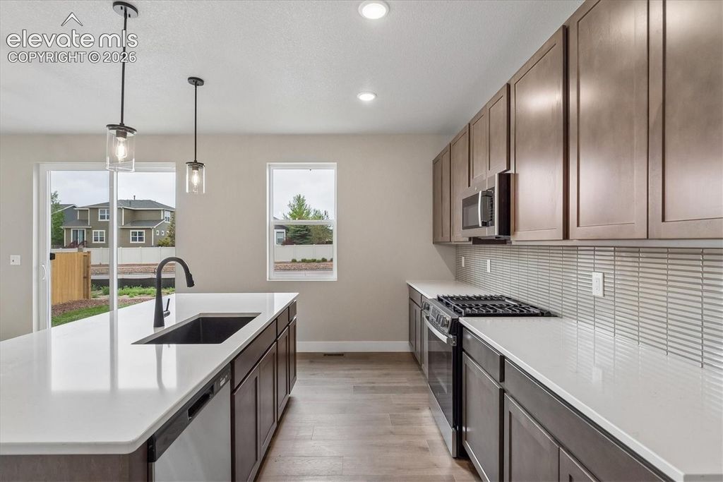 7882 Tuscan Sun Court, Colorado Springs, CO 80908 — photo 5