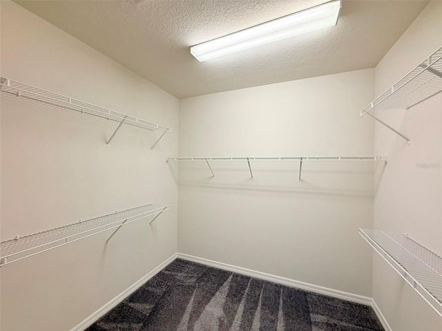 10844 ROLLING MOSS ROAD, Tampa, FL 33647