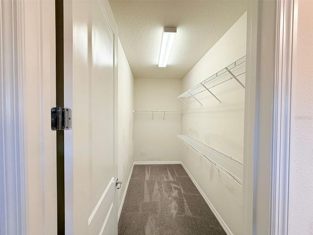 10844 ROLLING MOSS ROAD, Tampa, FL 33647