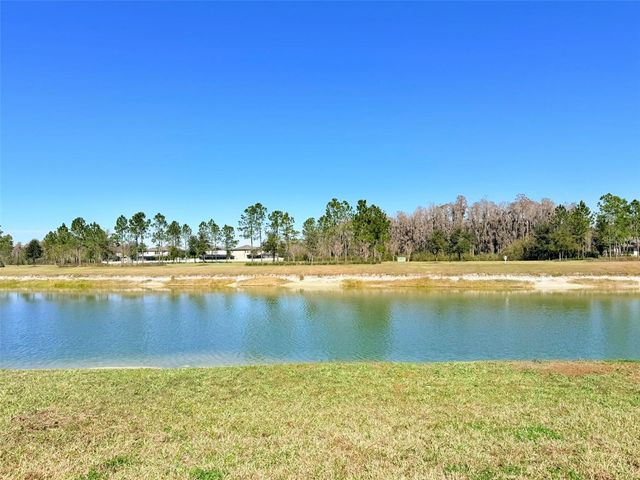 10844 ROLLING MOSS ROAD, Tampa, FL 33647