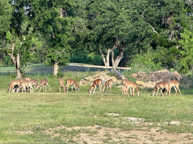 891 Safe Harbor Drive, Brownwood, TX 76801
