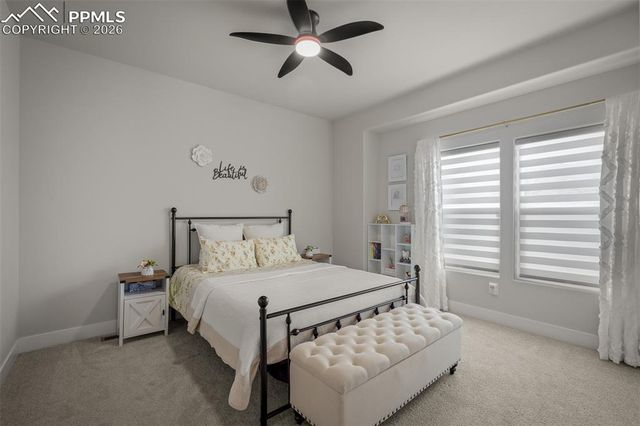 6347 Kinetic Lane, Colorado Springs, CO 80924