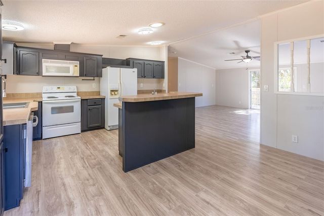 13811 COUNTY ROAD 109D, Lady Lake, FL 32159