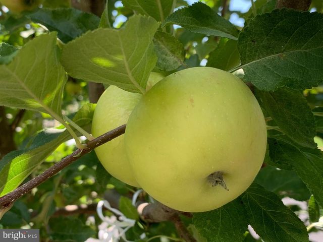 12847 HOLIDAY LN, Bowie, MD 20716